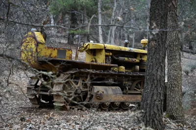 DSC_0056 (Large).JPG